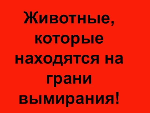 Животные, которые находятся на грани вымирания!