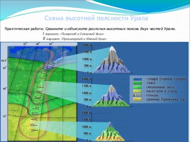 Схема высотной поясности Урала Практическая работа: Сравните и объясните различия высотных поясов