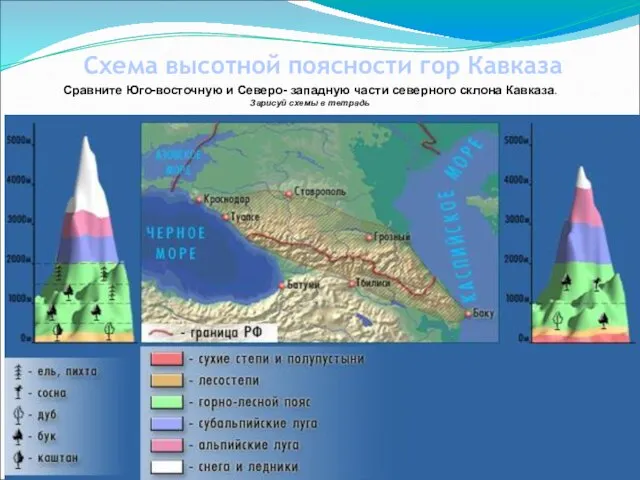 Схема высотной поясности гор Кавказа Сравните Юго-восточную и Северо- западную части северного