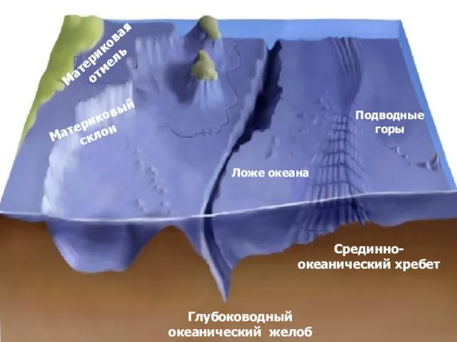 Рельеф дна Мирового океана Материковая отмель Материковый склон Ложе океана Глубоководный океанический