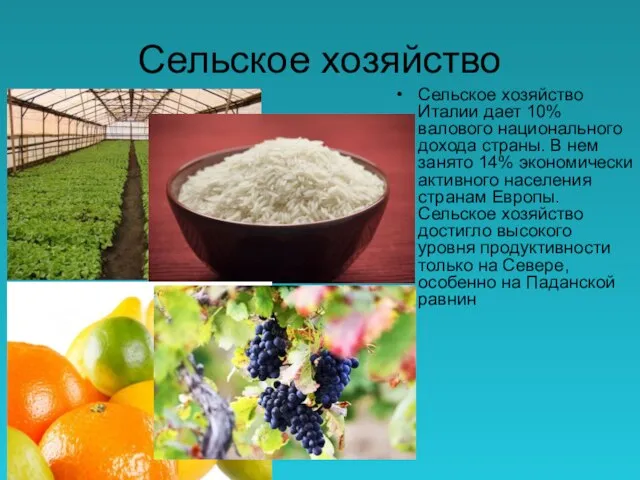 Сельское хозяйство Сельское хозяйство Италии дает 10% валового национального дохода страны. В