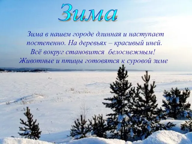 Зима Зима В нашем городе наступает постепенно. Деревья покрывает снег. Всё вокруг