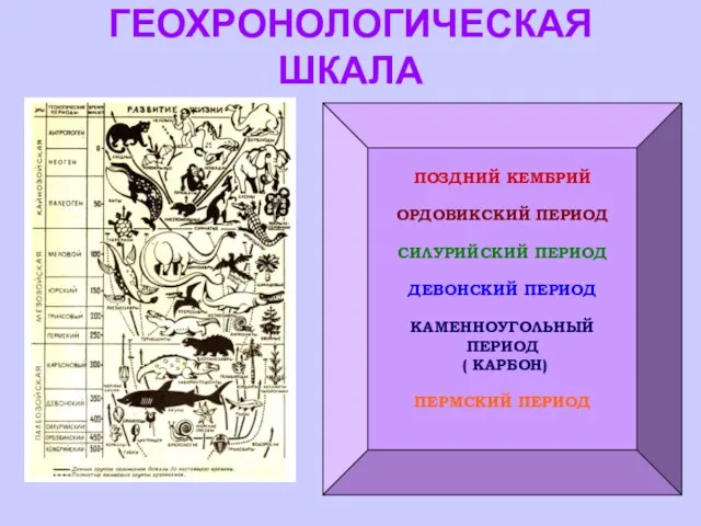 ГЕОХРОНОЛОГИЧЕСКАЯ ШКАЛА ПОЗДНИЙ КЕМБРИЙ ОРДОВИКСКИЙ ПЕРИОД СИЛУРИЙСКИЙ ПЕРИОД ДЕВОНСКИЙ ПЕРИОД КАМЕННОУГОЛЬНЫЙ ПЕРИОД ( КАРБОН) ПЕРМСКИЙ ПЕРИОД