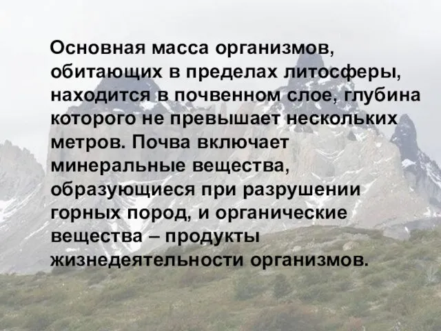 Основная масса организмов, обитающих в пределах литосферы, находится в почвенном слое, глубина