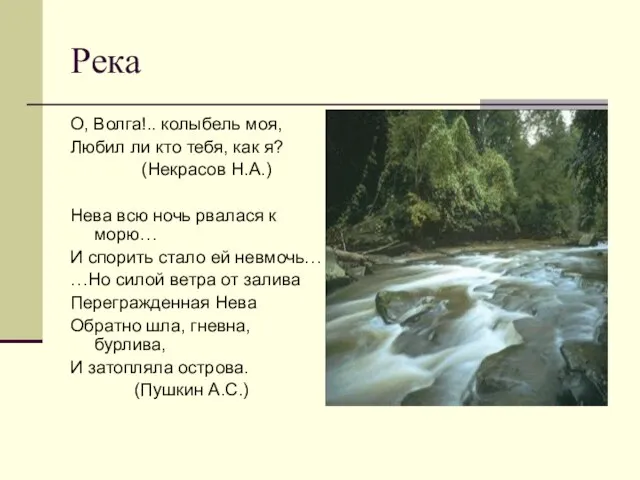 Река О, Волга!.. колыбель моя, Любил ли кто тебя, как я? (Некрасов