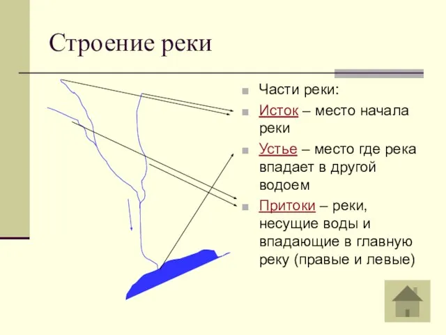 Строение реки Части реки: Исток – место начала реки Устье – место