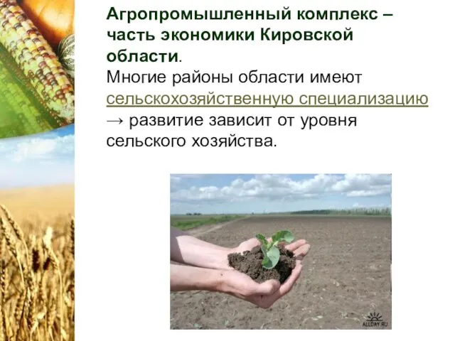 Агропромышленный комплекс – часть экономики Кировской области. Многие районы области имеют сельскохозяйственную