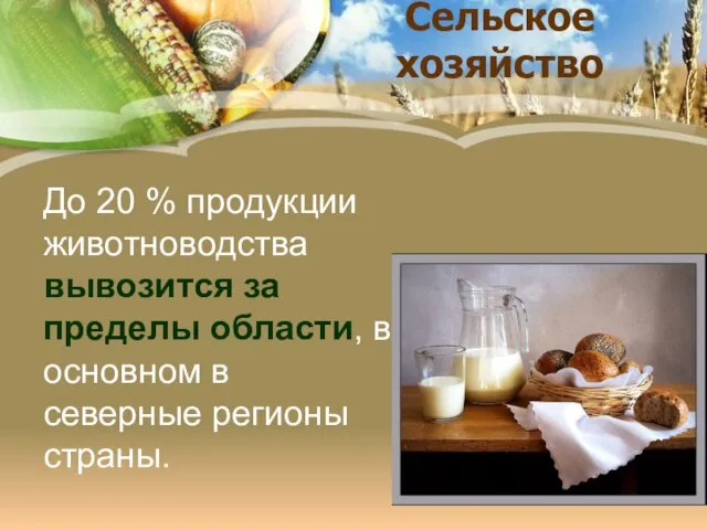 Сельское хозяйство До 20 % продукции животноводства вывозится за пределы области, в