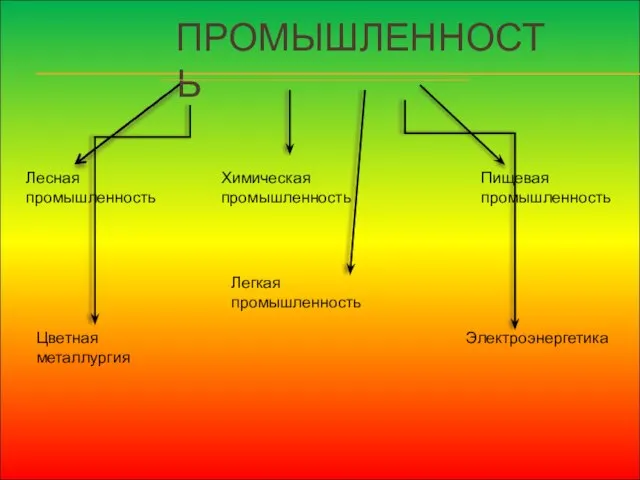 ПРОМЫШЛЕННОСТЬ Электроэнергетика Цветная металлургия Лесная промышленность Химическая промышленность Пищевая промышленность Легкая промышленность