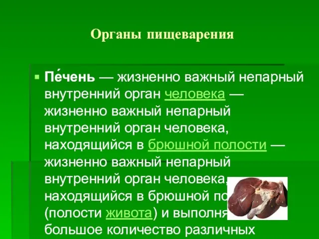 Органы пищеварения Пе́чень — жизненно важный непарный внутренний орган человека — жизненно