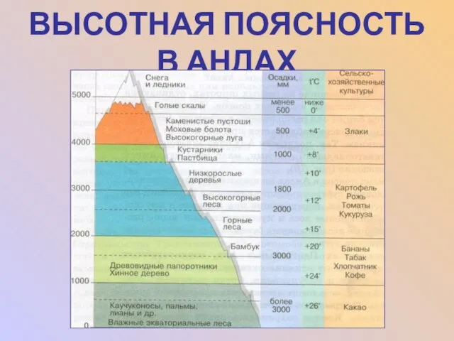 ВЫСОТНАЯ ПОЯСНОСТЬ В АНДАХ