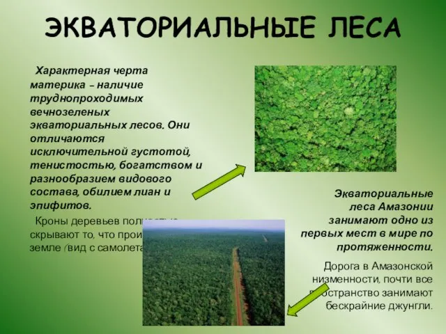 ЭКВАТОРИАЛЬНЫЕ ЛЕСА Характерная черта материка – наличие труднопроходимых вечнозеленых экваториальных лесов. Они