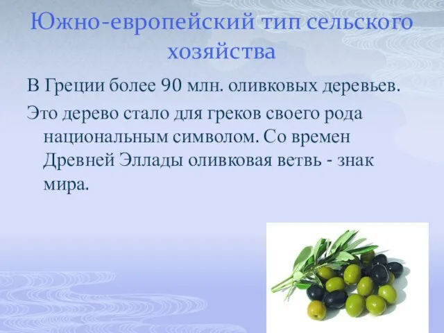 Южно-европейский тип сельского хозяйства В Греции более 90 млн. оливковых деревьев. Это