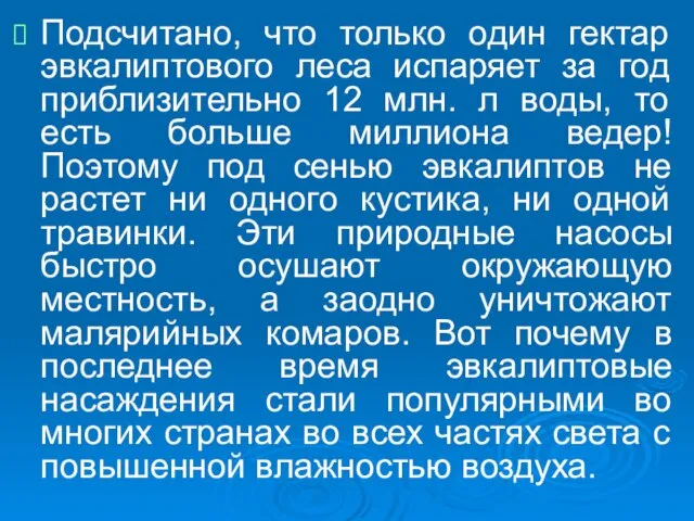 Подсчитано, что только один гектар эвкалиптового леса испаряет за год приблизительно 12