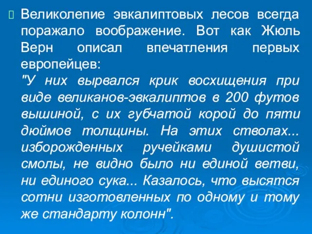 Великолепие эвкалиптовых лесов всегда поражало воображение. Вот как Жюль Верн описал впечатления