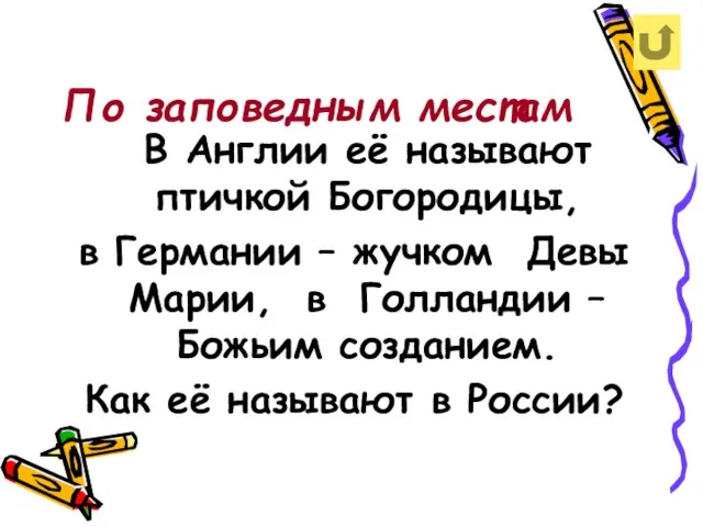 По заповедным местам В Англии её называют птичкой Богородицы, в Германии –