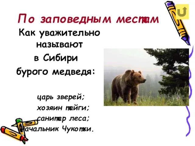 По заповедным местам Как уважительно называют в Сибири бурого медведя: царь зверей;