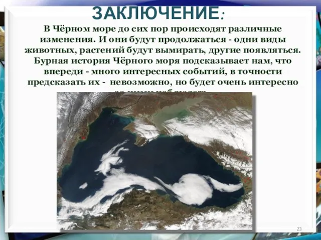 ЗАКЛЮЧЕНИЕ: В Чёрном море до сих пор происходят различные изменения. И они