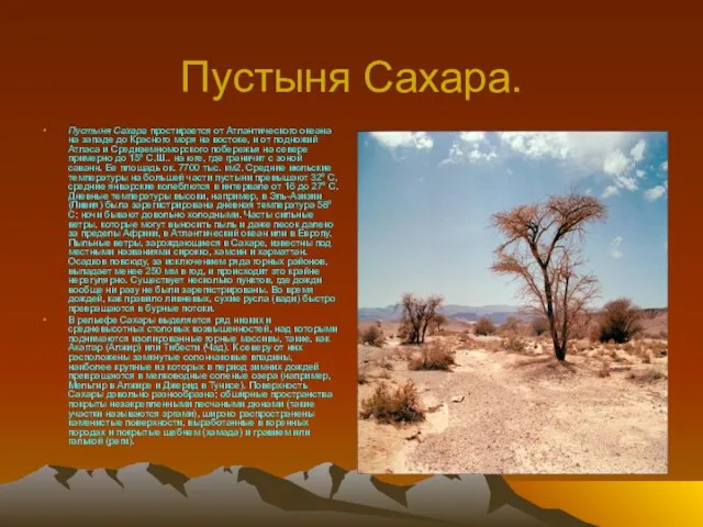 Пустыня Сахара. Пустыня Сахара простирается от Атлантического океана на западе до Красного