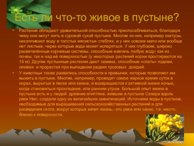 Есть ли что-то живое в пустыне? Растения обладают удивительной способностью приспосабливаться, благодаря