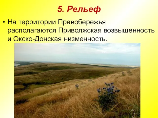 5. Рельеф На территории Правобережья располагаются Приволжская возвышенность и Окско-Донская низменность.