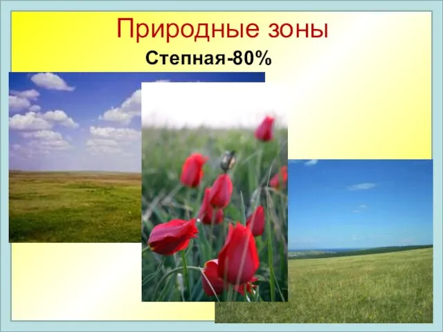 Природные зоны Степная-80%