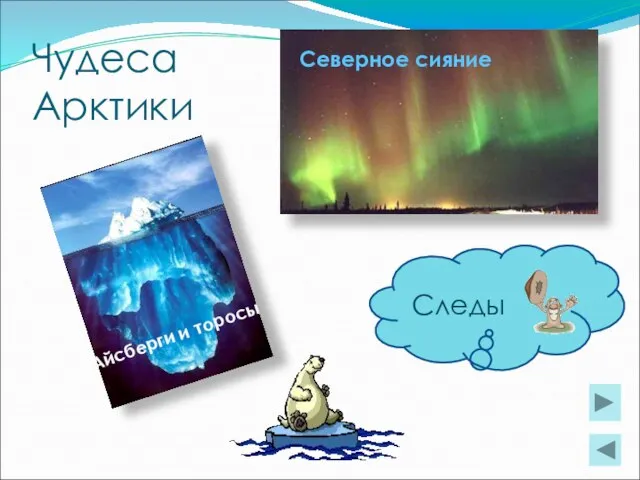 Чудеса Арктики Следы Северное сияние Айсберги и торосы