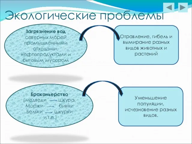 Отравление, гибель и вымирание разных видов животных и растений Экологические проблемы Загрязнение