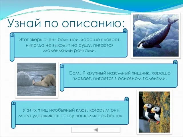 Узнай по описанию: Этот зверь очень большой, хорошо плавает, никогда не выходит