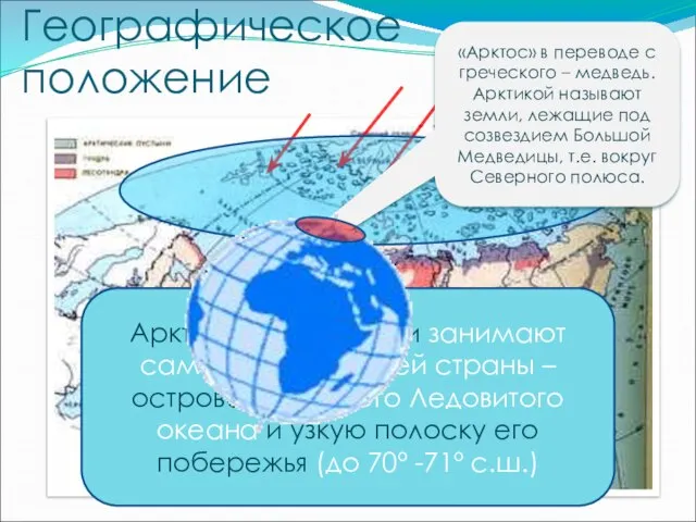 Географическое положение Арктические пустыни занимают самый север нашей страны – острова Северного