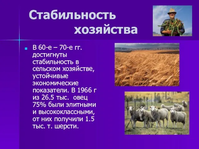 Стабильность хозяйства В 60-е – 70-е гг. достигнуты стабильность в сельском хозяйстве,