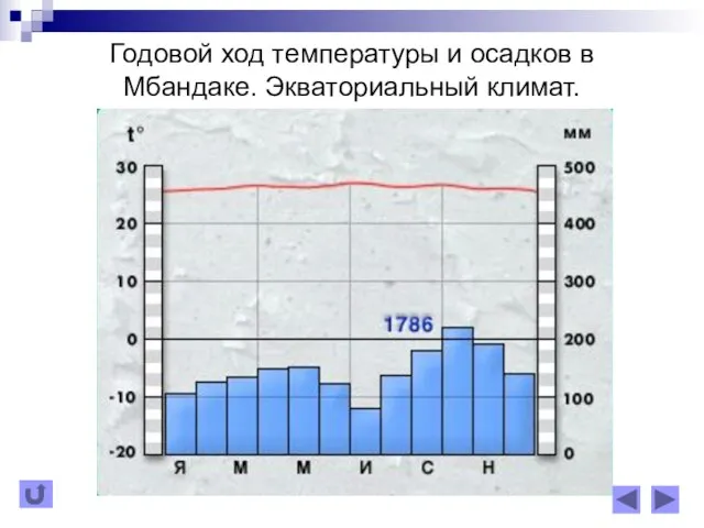 Годовой ход температуры и осадков в Мбандаке. Экваториальный климат.