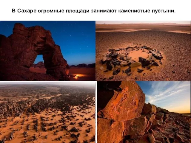 В Сахаре огромные площади занимают каменистые пустыни.