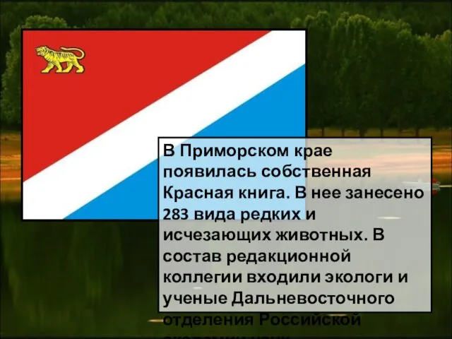 В Приморском крае появилась собственная Красная книга. В нее занесено 283 вида