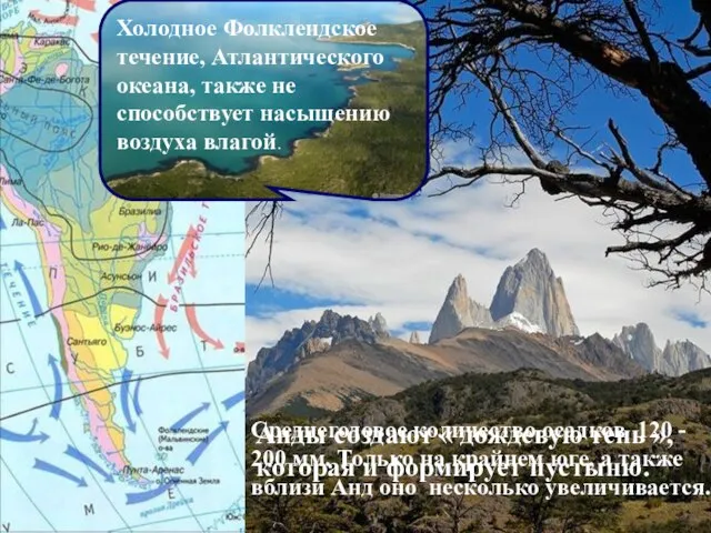 Анды создают « дождевую тень », которая и формирует пустыню. Холодное Фолклендское