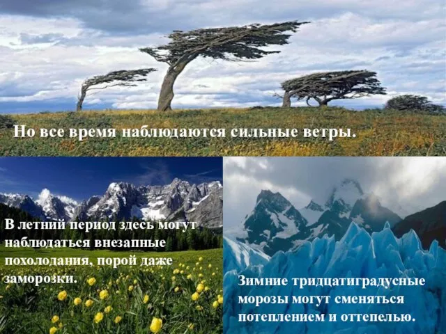 В Патагонии нет жаркого лета. В летний период здесь могут наблюдаться внезапные