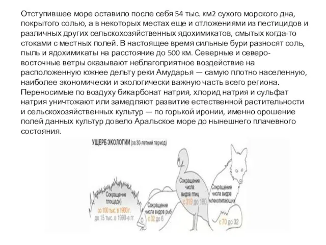 Отступившее море оставило после себя 54 тыс. км2 сухого морского дна, покрытого