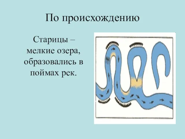 По происхождению Старицы – мелкие озера, образовались в поймах рек.