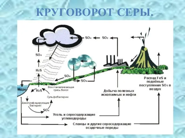 КРУГОВОРОТ СЕРЫ.