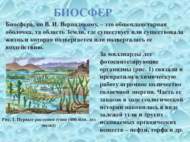 Биосфера, по В. И. Вернадскому, – это общепланетарная оболочка, та область Земли,