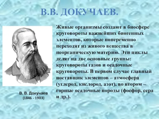 В. В. Докучаев (1846 - 1903) Живые организмы создают в биосфере круговороты