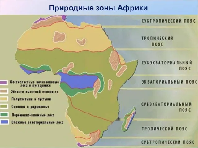 Природные зоны Африки