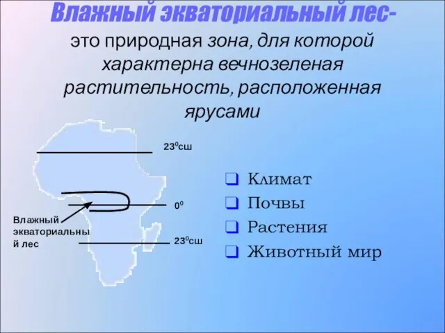 Влажный экваториальный лес- это природная зона, для которой характерна вечнозеленая растительность, расположенная