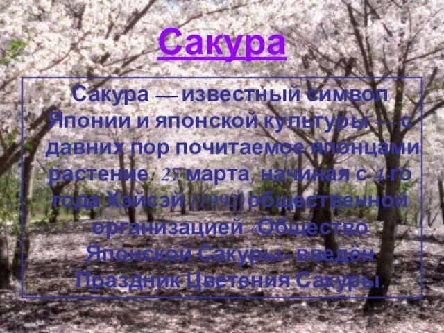 Сакура Сакура — известный символ Японии и японской культуры — с давних