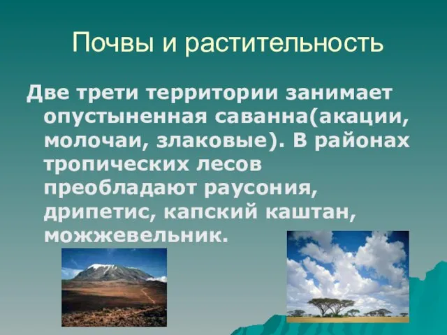 Почвы и растительность Две трети территории занимает опустыненная саванна(акации, молочаи, злаковые). В