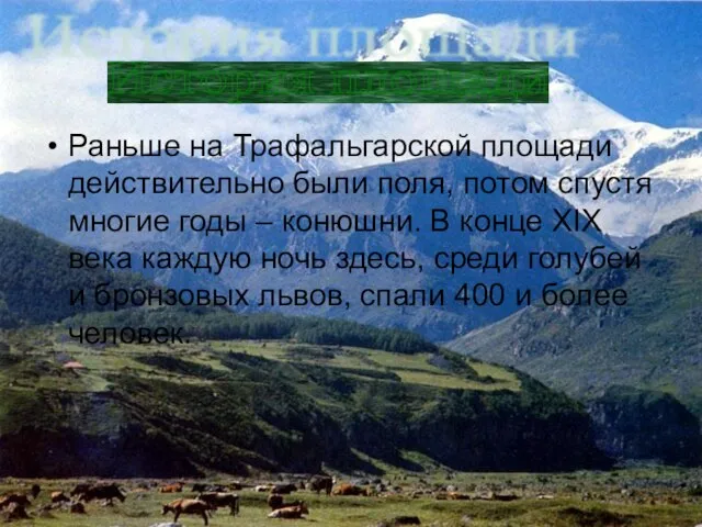 Раньше на Трафальгарской площади действительно были поля, потом спустя многие годы –