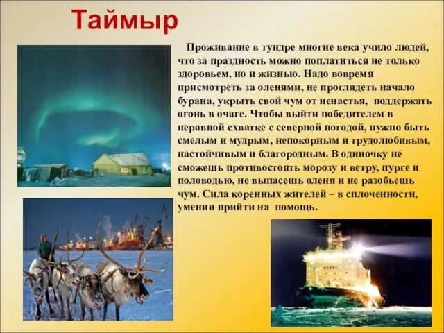 Таймыр Проживание в тундре многие века учило людей, что за праздность можно