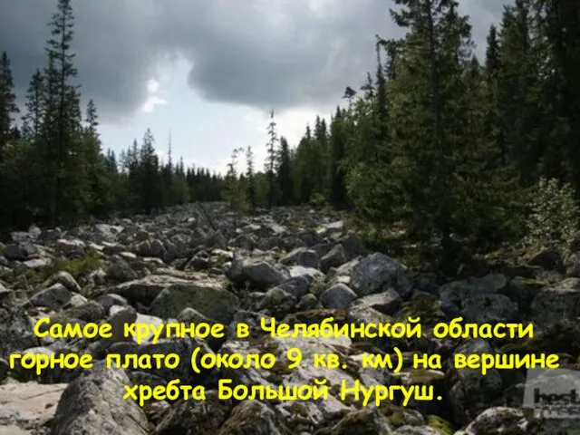 Самое крупное в Челябинской области горное плато (около 9 кв. км) на вершине хребта Большой Нургуш.