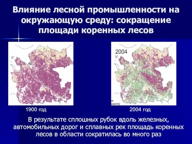 Влияние лесной промышленности на окружающую среду: сокращение площади коренных лесов В результате