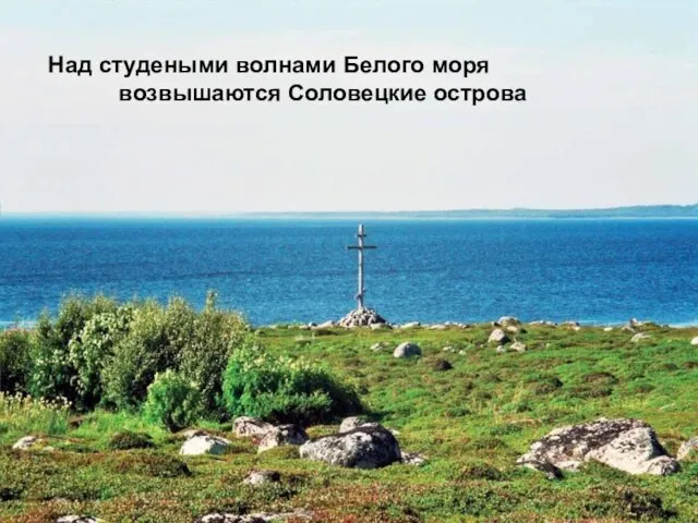 Над студеными волнами Белого моря возвышаются Соловецкие острова